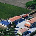La Rondine Bolgheri