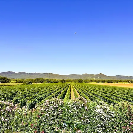 La Rondine Farm stay *