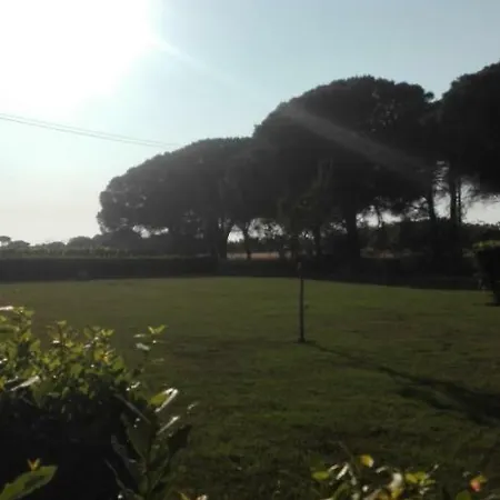 La Rondine Bolgheri